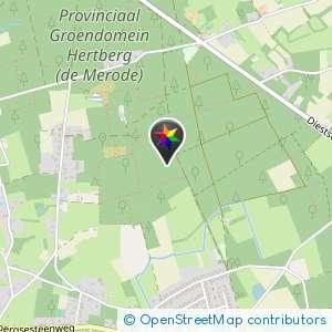 Rustig in bos