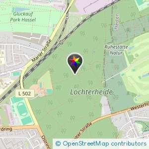 Wald neben Reitanlage