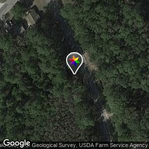 Woods on McCall Road