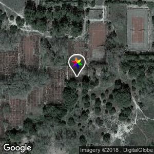 Pistas de tenis abandonadas