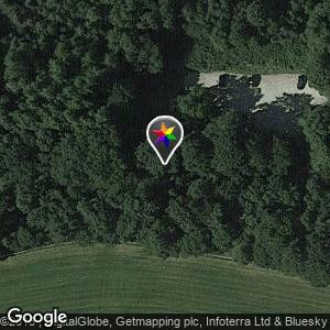 Haldon forrest