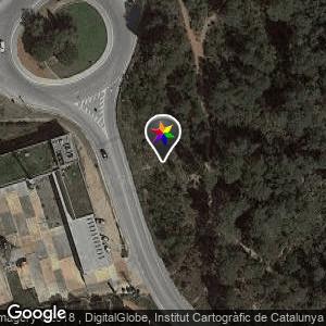 En el bosque que hay enfrente a los bomberos de Gavá
