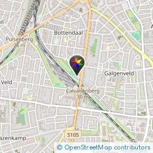 Bosjes bij veld