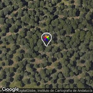 Parque de la Dehesa, parque del sur