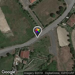 Palmeira