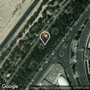 Palmeral de Costa Calma