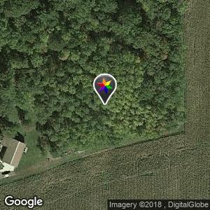 Burgwald Woods