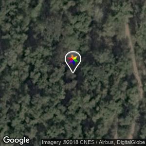 Forest near outdoor gym Hydropolis