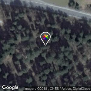 Forest Logatec