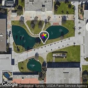 Pond