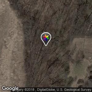 Elm Creek Woods