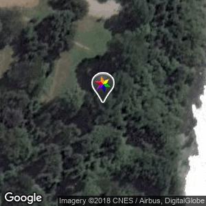 Bosque de rocura