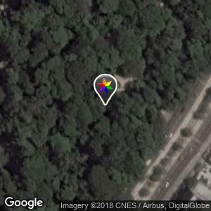 Bosque Rodrigues Alves Jardim Zoobotânico da Amazônia