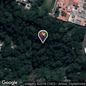 Pico - Parque dos Ipês