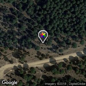 Bosque en Los Manantiales