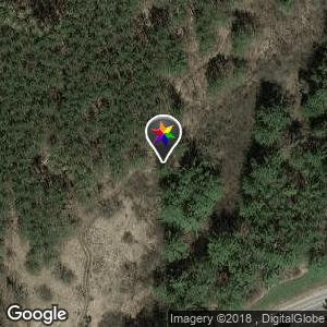 Trent University Forest Trails