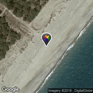 Zona pineta / scavi