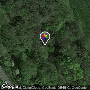 Wald