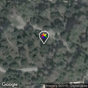 Bosque cerca de Mercadona