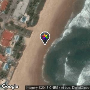 Rua carcara na beira da praia
