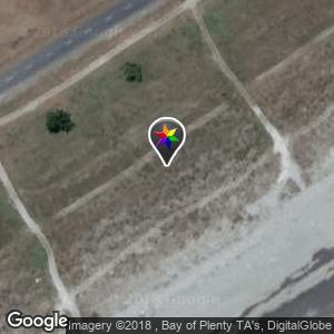 Beach sand dunes