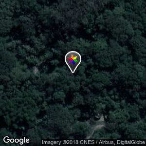 Bosque dos Jequitibás