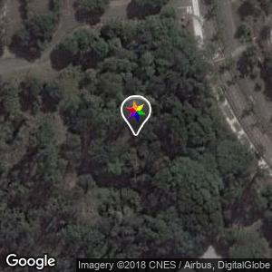 Bosque da PUC I
