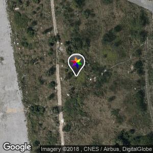 Bushes near Heaven Club / Cerna street