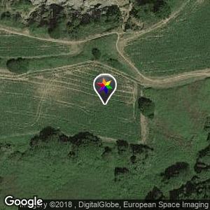 Bosque entre Luanco y El Dique