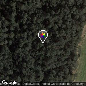 Bosque de Can Bosc