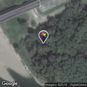 Bois bord de Loire