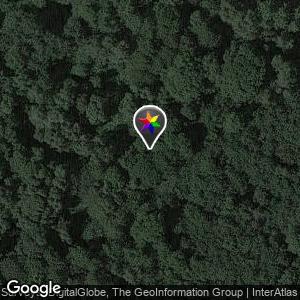 Parking dans la forêt