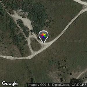 Campo