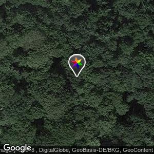 An den visselseen im wald