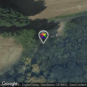 Kockelsberg Wald
