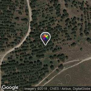 Parque del Pinar de Barajas