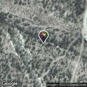 Campo
