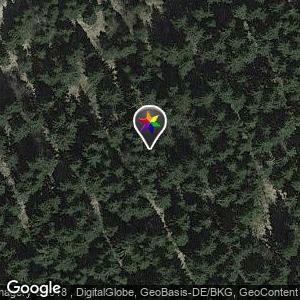 Wald in der Nähe der Rennsteigbaude