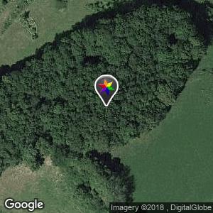 Foret antenne