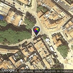 Los bosques cercanos a calas de Aigua Xelida