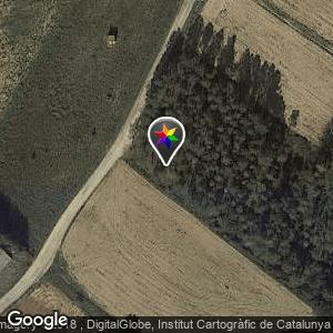 Bosque para cruising