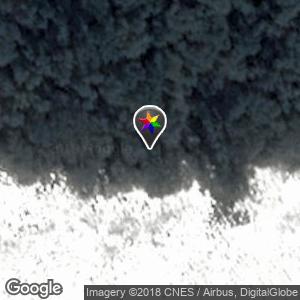 Find partner in the forest