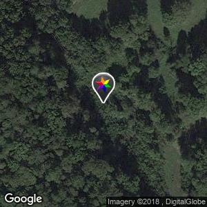 Foret Saints Marie