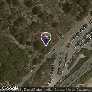 Bosque del parking de la Playa Sant Gervasi