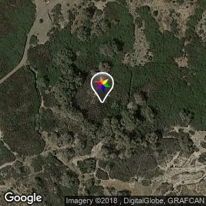 Bosque Castillo del Romeral