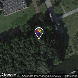 Bos onderwijslaan