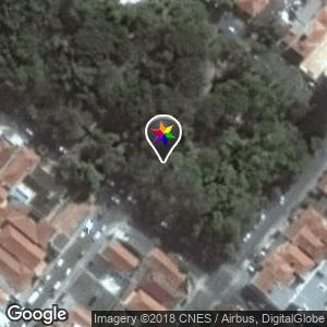 Bosque da Comunidade