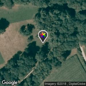 Almens-Scharans im Wald/Wiese