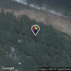 Punta Uva