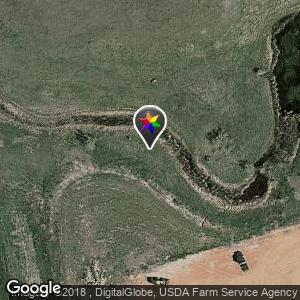 Tiger truck stop
